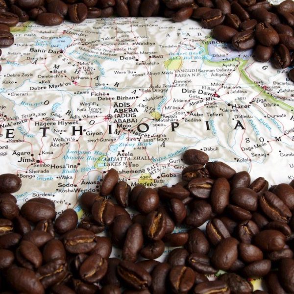 قهوه عربیکا اتیوپی